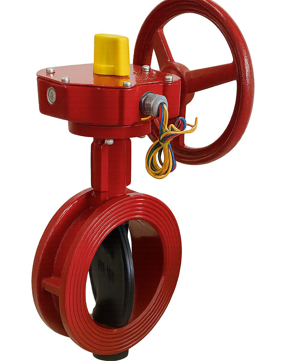 İzlenebilir Kelebek Vana 2